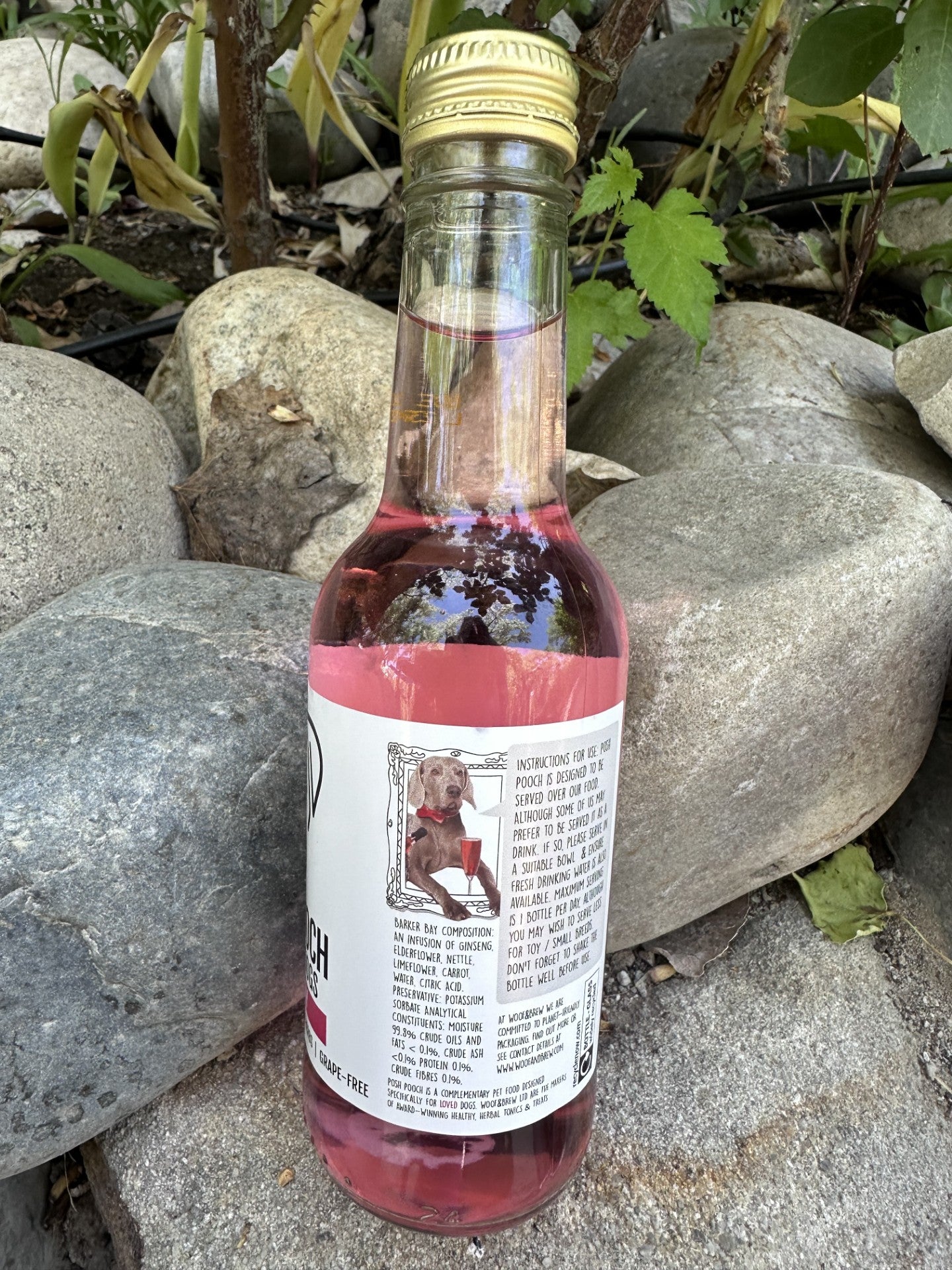 Barker Bay Posh Pooch Dog Wine