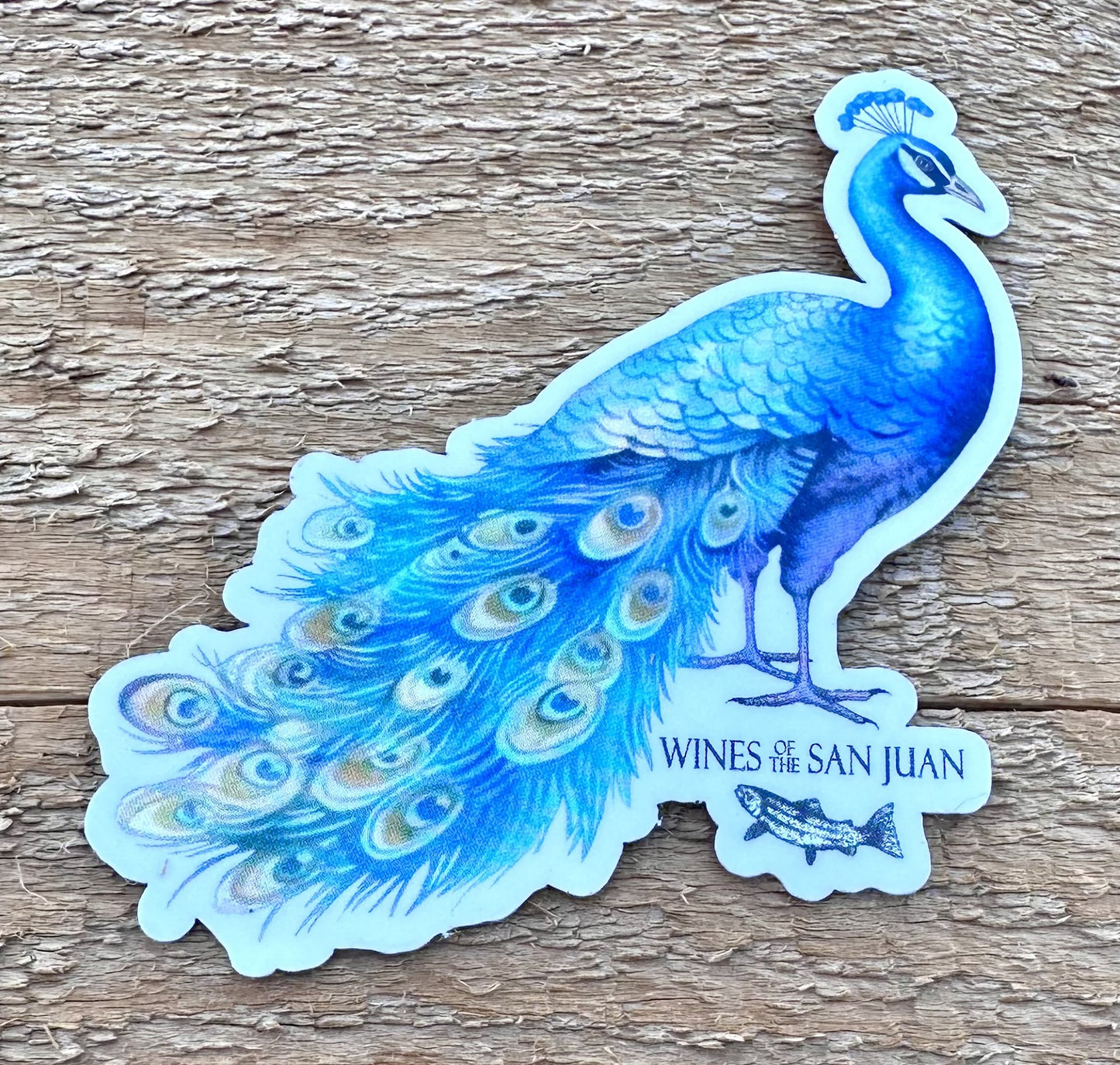 Peacock Holo Sticker